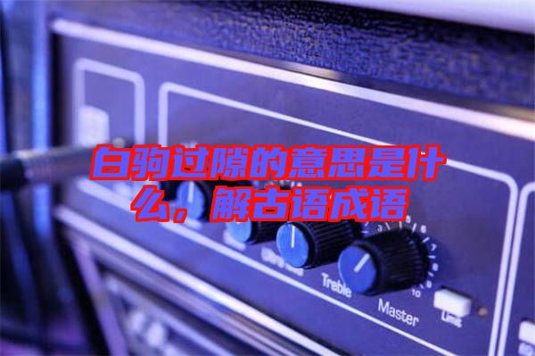 白駒過隙的意思是什么，解古語成語
