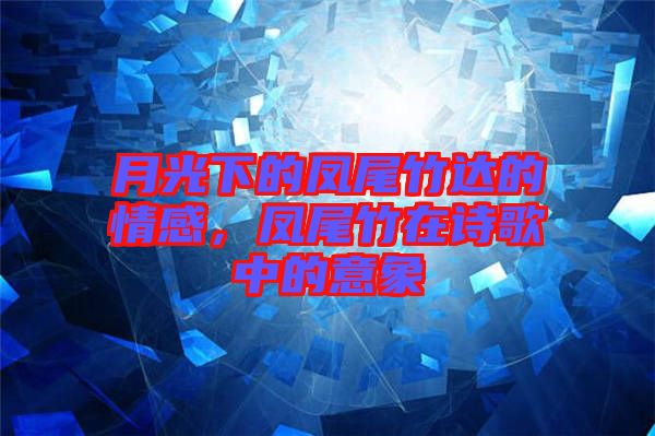 月光下的鳳尾竹達(dá)的情感，鳳尾竹在詩歌中的意象