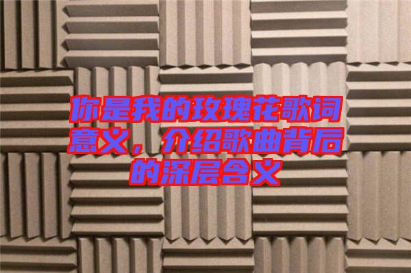 你是我的玫瑰花歌詞意義，介紹歌曲背后的深層含義