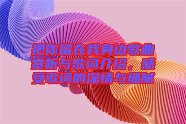 把你留在我身邊歌曲賞析與歌詞介紹，感受歌詞的深情與細(xì)膩