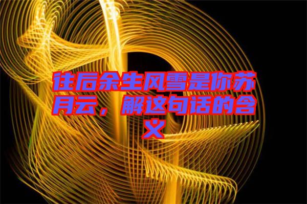往后余生風(fēng)雪是你蘇月云，解這句話的含義