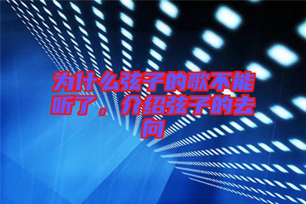 為什么弦子的歌不能聽了，介紹弦子的去向
