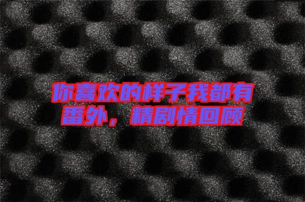 你喜歡的樣子我都有番外，精劇情回顧