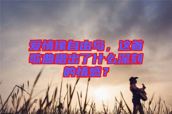 愛情像自由鳥，這首歌曲唱出了什么深刻的情感？