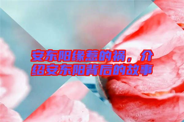 安東陽緣惹的禍，介紹安東陽背后的故事