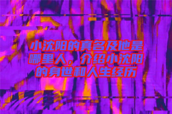 小沈陽的真名及他是哪里人，介紹小沈陽的身世和人生經(jīng)歷