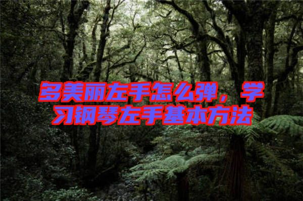 多美麗左手怎么彈，學(xué)習(xí)鋼琴左手基本方法