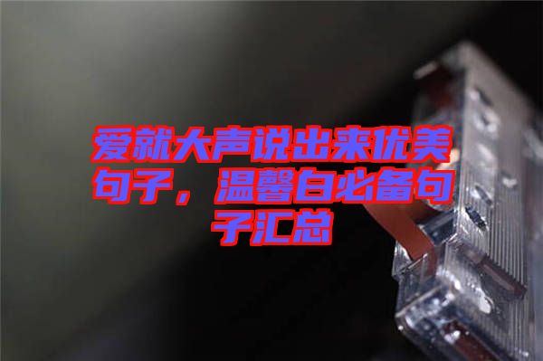 愛就大聲說出來優(yōu)美句子，溫馨白必備句子匯總