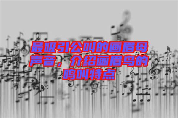 最吸引公叫的畫眉母聲音，介紹畫眉鳥的鳴叫特點(diǎn)