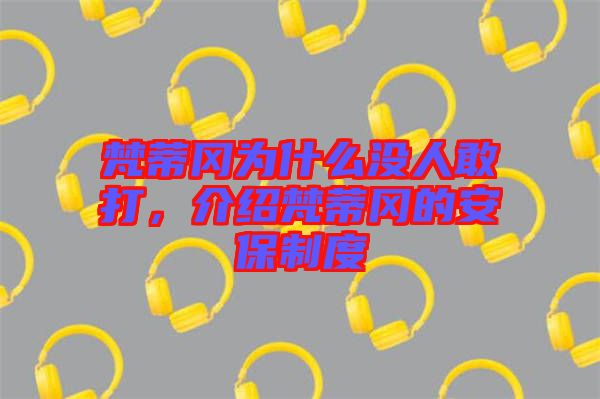 梵蒂岡為什么沒(méi)人敢打，介紹梵蒂岡的安保制度