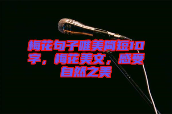 梅花句子唯美簡短10字，梅花美文，感受自然之美