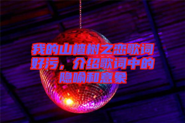 我的山楂樹之戀歌詞好污，介紹歌詞中的隱喻和意象