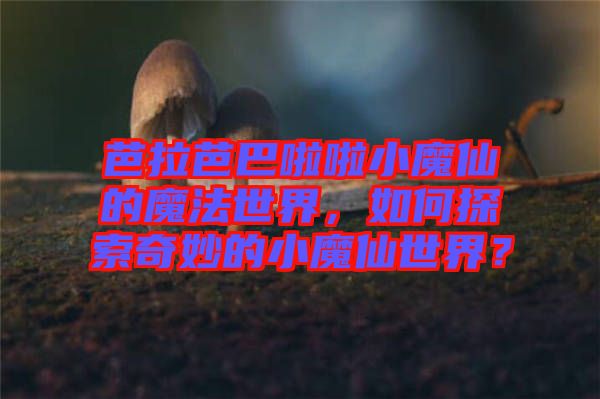 芭拉芭巴啦啦小魔仙的魔法世界，如何探索奇妙的小魔仙世界？