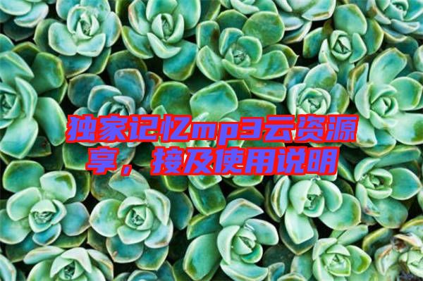 獨(dú)家記憶mp3云資源享，接及使用說(shuō)明