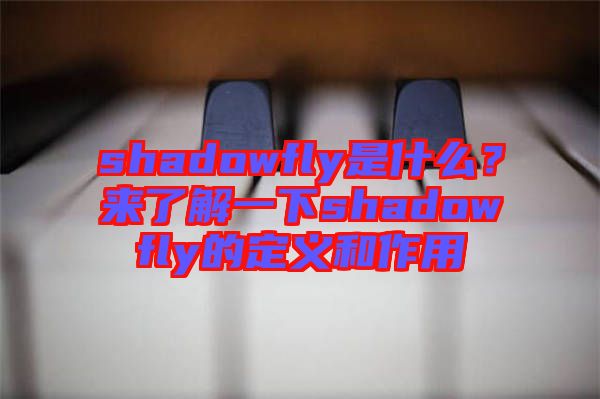 shadowfly是什么？來了解一下shadowfly的定義和作用