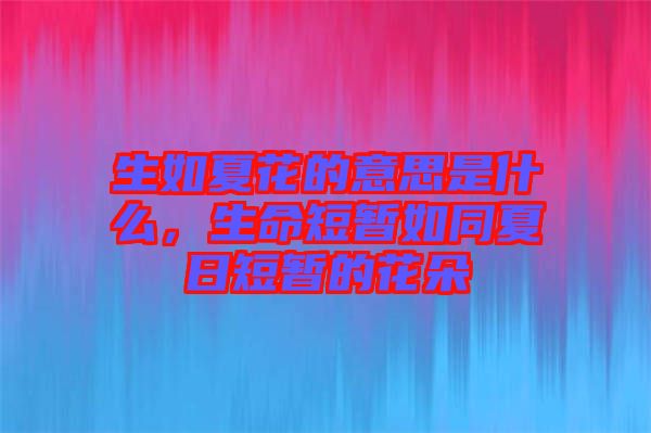 生如夏花的意思是什么，生命短暫如同夏日短暫的花朵