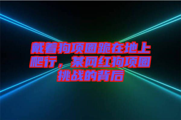 戴著狗項(xiàng)圈跪在地上爬行，某網(wǎng)紅狗項(xiàng)圈挑戰(zhàn)的背后