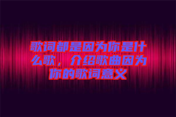 歌詞都是因?yàn)槟闶鞘裁锤?，介紹歌曲因?yàn)槟愕母柙~意義