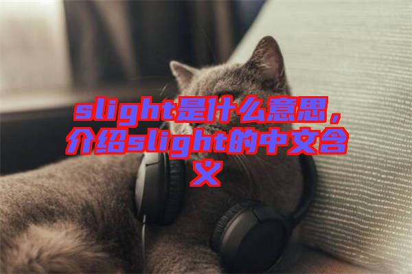 slight是什么意思，介紹slight的中文含義