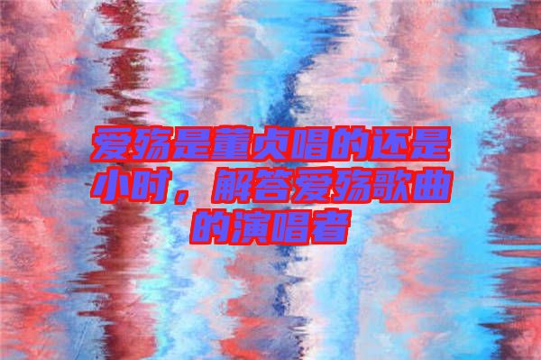 愛殤是董貞唱的還是小時(shí)，解答愛殤歌曲的演唱者