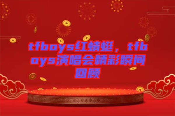 tfboys紅蜻蜓，tfboys演唱會(huì)精彩瞬間回顧