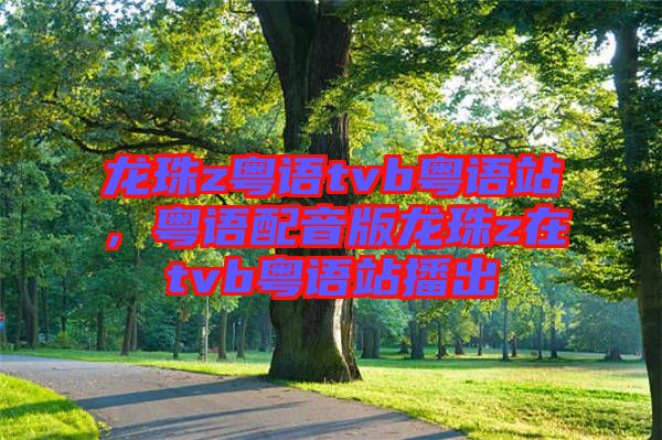 龍珠z粵語tvb粵語站，粵語配音版龍珠z在tvb粵語站播出