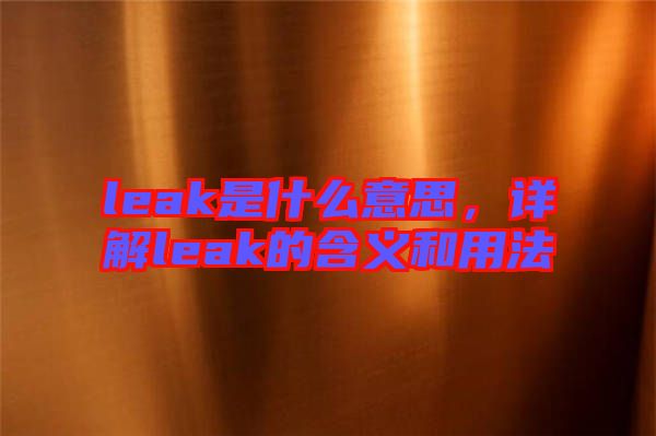 leak是什么意思，詳解leak的含義和用法
