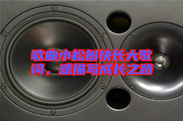 歌曲小松樹快長大歌詞，感描寫成長之路