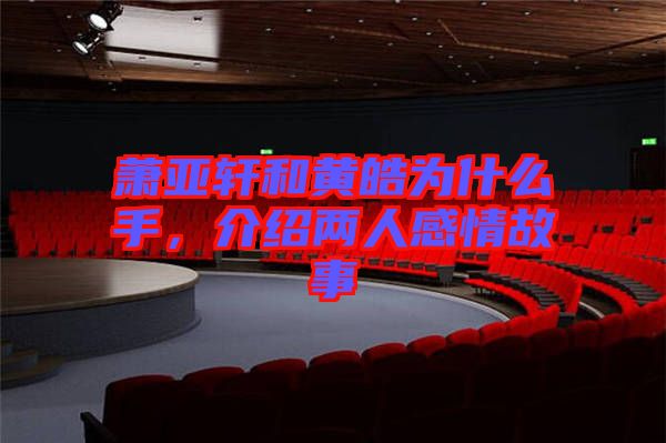 蕭亞軒和黃皓為什么手，介紹兩人感情故事