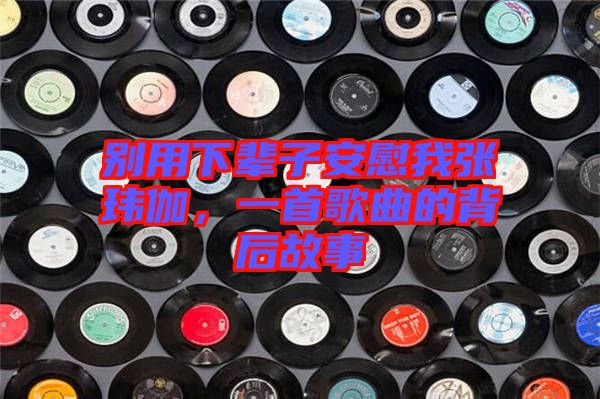 別用下輩子安慰我張瑋伽，一首歌曲的背后故事