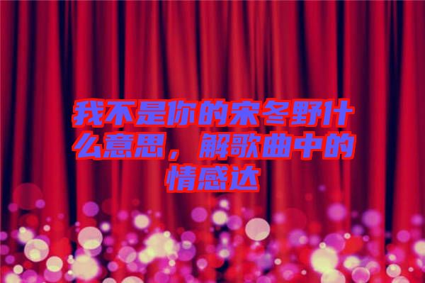 我不是你的宋冬野什么意思，解歌曲中的情感達(dá)