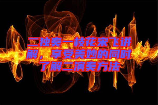 二獨(dú)奏一枝花宋飛講解，享受美妙的同時(shí)了解二演奏方法