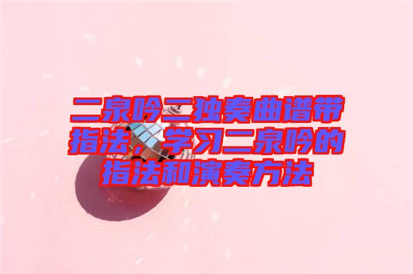 二泉吟二獨(dú)奏曲譜帶指法，學(xué)習(xí)二泉吟的指法和演奏方法