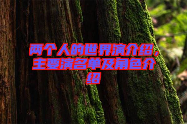 兩個(gè)人的世界演介紹，主要演名單及角色介紹