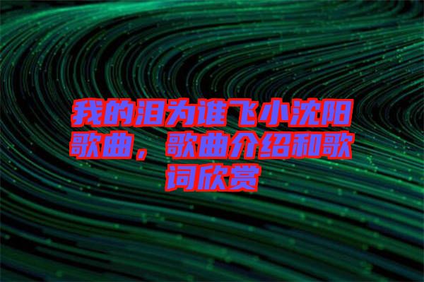 我的淚為誰飛小沈陽歌曲，歌曲介紹和歌詞欣賞