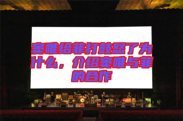 竇唯給菲打鼓怒了為什么，介紹竇唯與菲的合作
