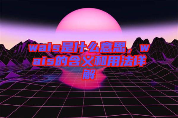 wais是什么意思，wais的含義和用法詳解