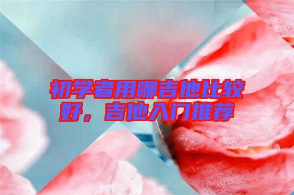 初學(xué)者用哪吉他比較好，吉他入門推薦