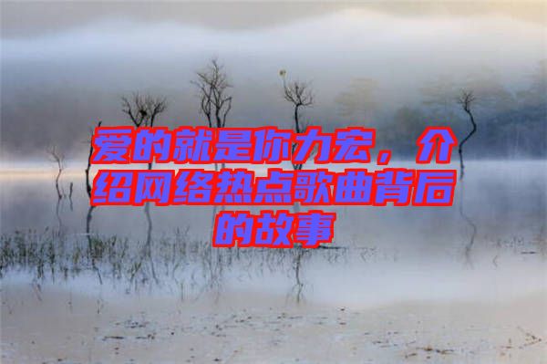 愛的就是你力宏，介紹網(wǎng)絡熱點歌曲背后的故事