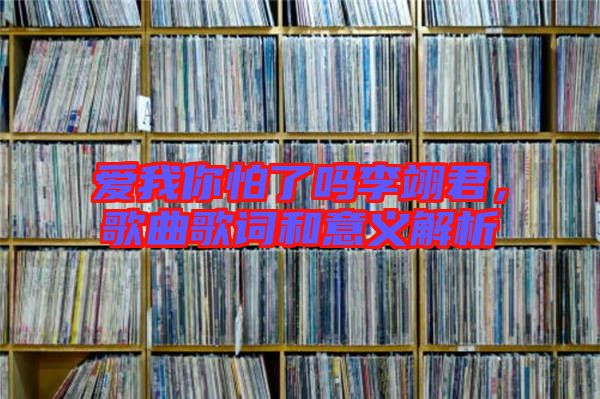 愛我你怕了嗎李翊君，歌曲歌詞和意義解析