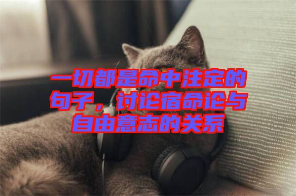 一切都是命中注定的句子，討論宿命論與自由意志的關(guān)系