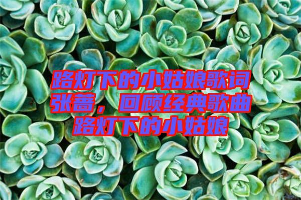 路燈下的小姑娘歌詞張薔，回顧經(jīng)典歌曲路燈下的小姑娘