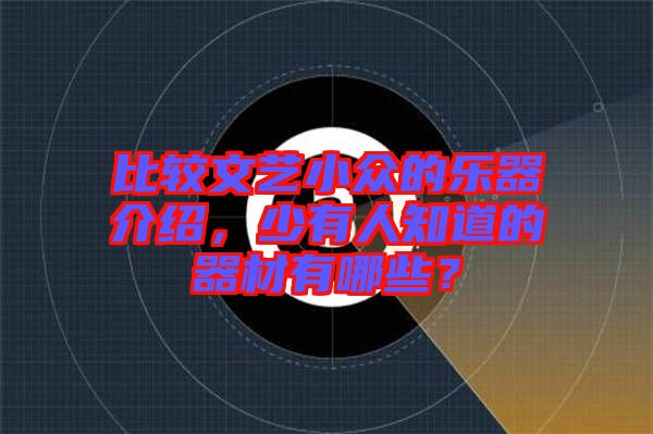 比較文藝小眾的樂(lè)器介紹，少有人知道的器材有哪些？