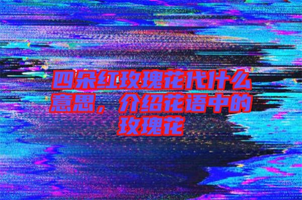 四朵紅玫瑰花代什么意思，介紹花語中的玫瑰花
