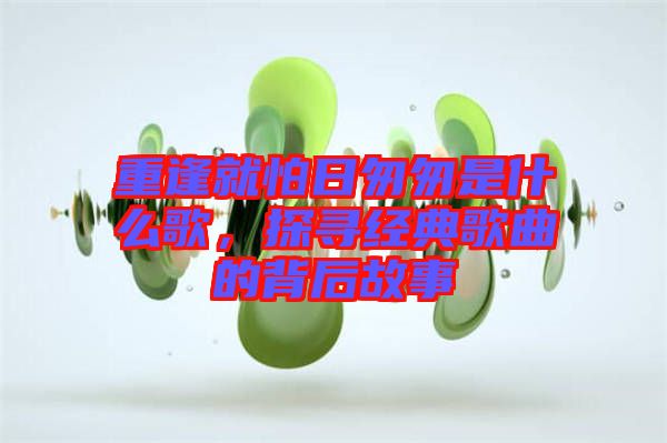 重逢就怕日匆匆是什么歌，探尋經(jīng)典歌曲的背后故事