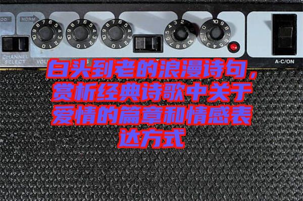 白頭到老的浪漫詩(shī)句，賞析經(jīng)典詩(shī)歌中關(guān)于愛情的篇章和情感表達(dá)方式