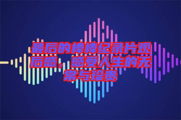 最后的棒棒紀(jì)錄片觀后感，感受人生的無(wú)常與珍貴