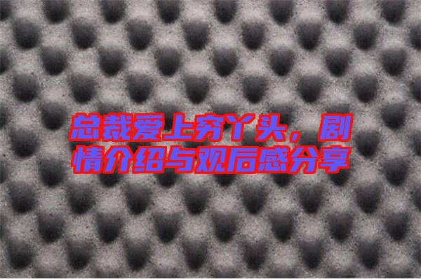 總裁愛上窮丫頭，劇情介紹與觀后感分享
