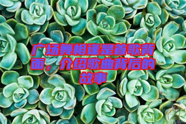 廣場舞相逢是首歌背面，介紹歌曲背后的故事
