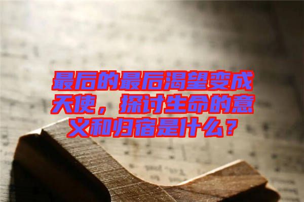 最后的最后渴望變成天使，探討生命的意義和歸宿是什么？